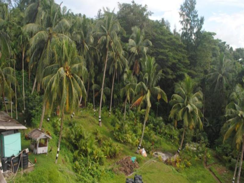 ميناء بلير Andaman Galley Boutique Hotel المظهر الخارجي الصورة